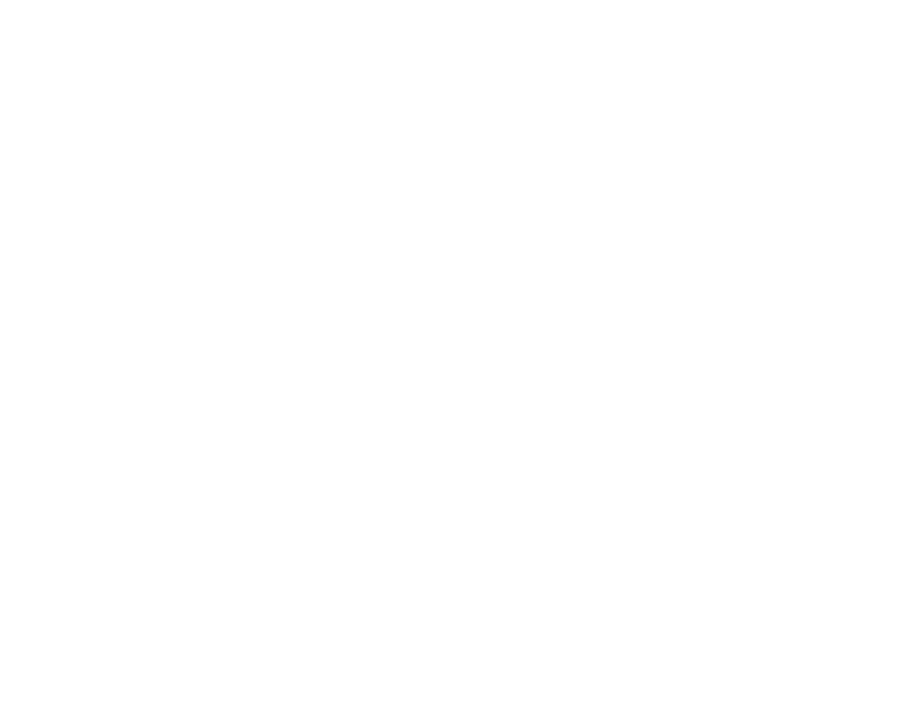 INLE